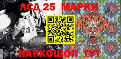 индика Кулебаки