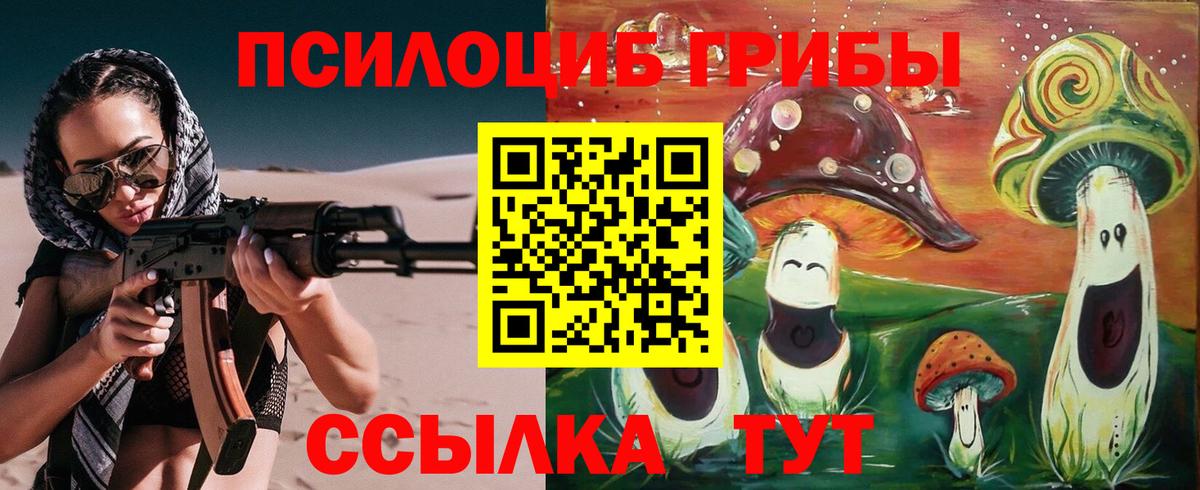 Псилоцибиновые грибы Cubensis Елабуга