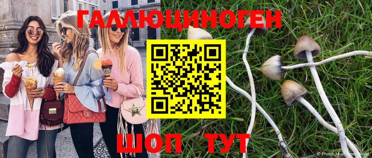 Елабуга  Псилоцибиновые грибы мухоморы  Вход с VPN 